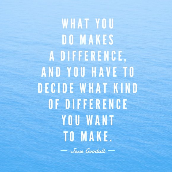 Meet your Posher - Picture 1 of 4